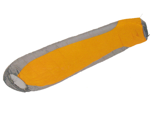 ����鿴��