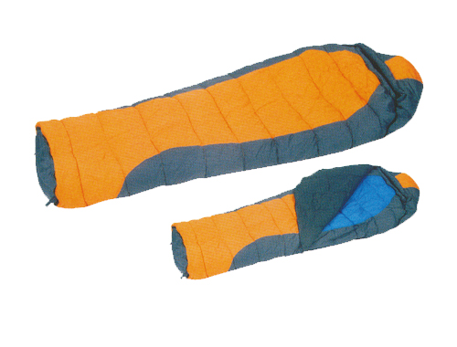 ����鿴��