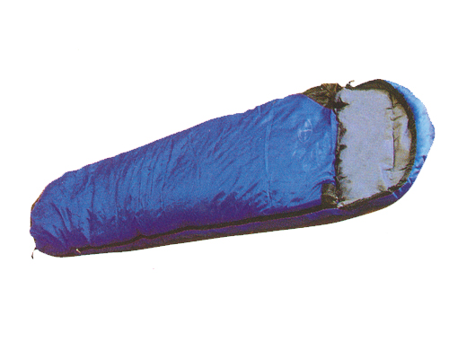 ����鿴��