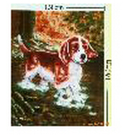 ����鿴��