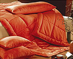 ����鿴��