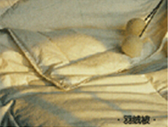 ����鿴��